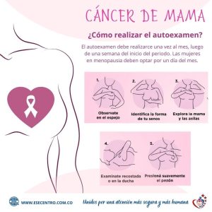 WhatsApp-Image-2024-11-06-at-4.40.12-PM-1